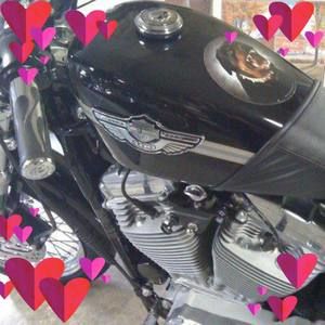 Meet your Posher, Linda